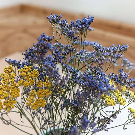 Grundlsee * Mosern (Grundlsee)